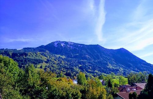 Rettenberg Apartment | Ferienwohnung Grüntenpanorama im Jägerwinkl Allgäu