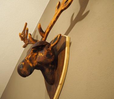 Rettenberg Apartment | Ferienwohnung Grüntenpanorama im Jägerwinkl Allgäu