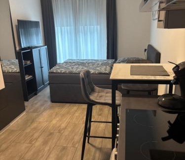 Konstanz Apartment | Ferienwohnung Konstanz