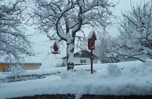 Rennweg am Katschberg Apartment | Ferienwohnung Kratzwald