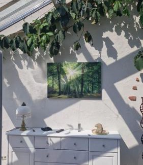 Bad Laasphe Apartment | Ferienwohnung Opas Gewächshaus