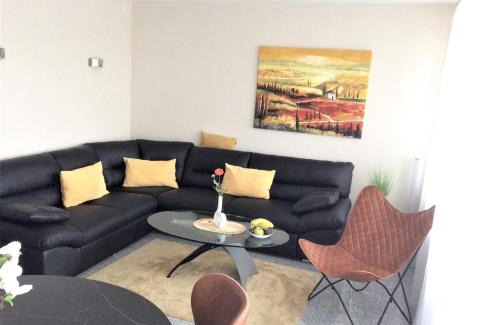 Hohegeiß Apartment | Ferienwohnung PanoramicHarz App459