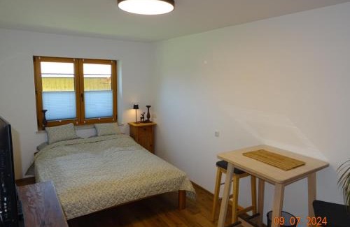 Waging am See Apartment | Ferienwohnung Schneckenpointner