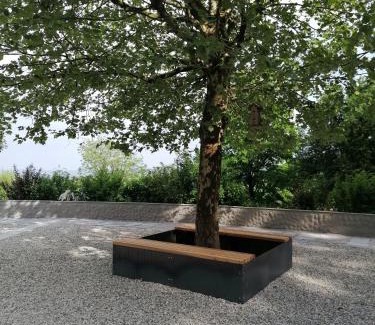 Hinzenbach Apartment | Ferienwohnung Schuhmann Therme Aquapulco Ikuna Erlebnispark Zoo Schmiding 20 min mit Auto entfernt mit Wintergarten und Garten ab 3 Nächte buchbar