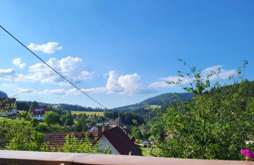 Huzenbach Apartment | Ferienwohnung Schwarzwaldglück