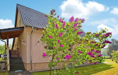 Torgelow-Hollanderei Apartment | Ferienwohnung Torgelow