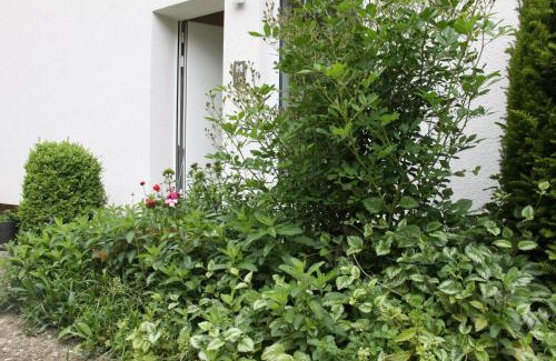 Muellheim Apartment | Ferienwohnung Vinea