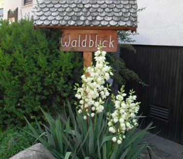 Simonswald Apartment | Ferienwohnung Waldblick