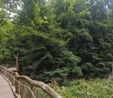 Dedenborn Apartment | Ferienwohnung Waldblick 1 für 6 Personen und max 2 Hunde