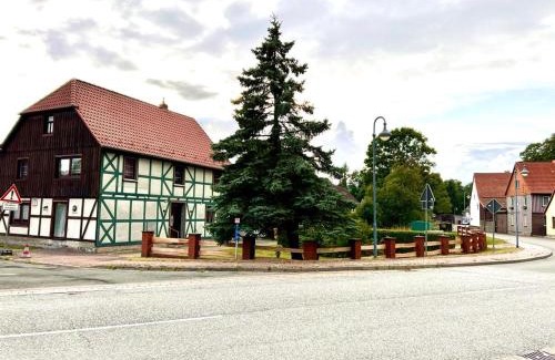 Stiege Apartment | Ferienwohnung Waldblick
