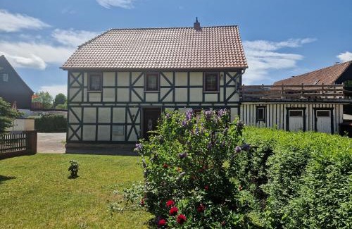 Stiege Apartment | Ferienwohnung Waldblick