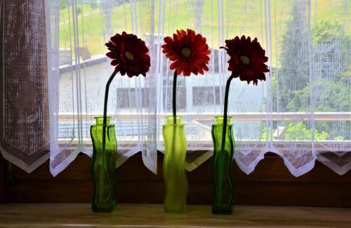 Toster Apartment | Ferienwohnung Walgaublick