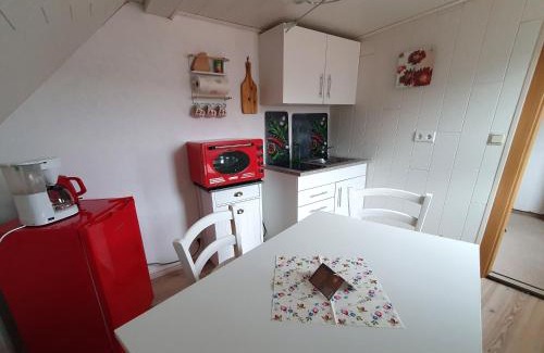 Konigshutte Apartment | Ferienwohnung Wanderlust
