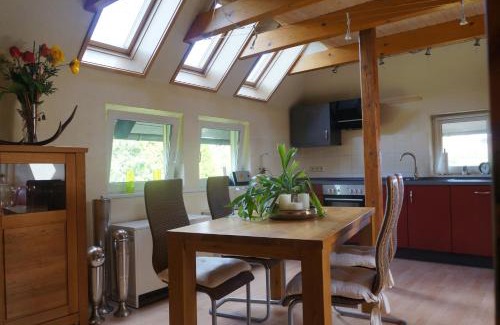 Benneckenstein Apartment | Ferienwohnung Zündholz