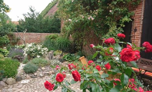 Ruehstaedt Apartment | Ferienwohnung ,Zur Alten Mühle' im Storchendorf Rühstädt