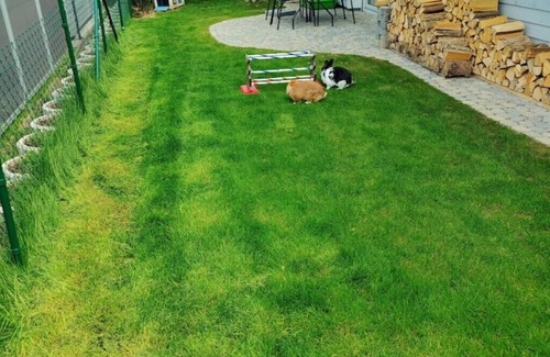 Moos Apartment | Ferienwohnung zur Hasenwiese