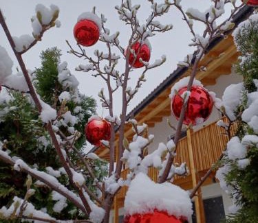 Nalles Apartment | Ferienwohnungen Ortsried