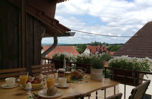 Friedrichsfeld Apartment | FeWo am Reinhardswald "Buchenzweig" - Northern Hesse with family and dog experience