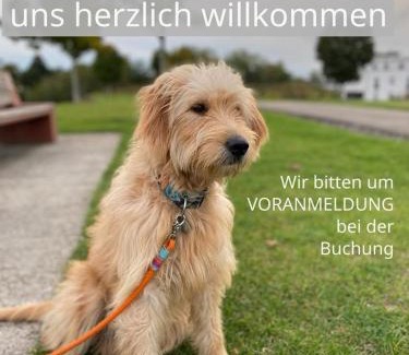 Rhynern Apartment | FeWo Clemens - Wohnküche + 2 Schlafräume + Bad + Terrasse