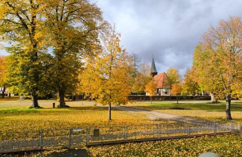 Lanz Apartment | FeWo Elbtalaue III