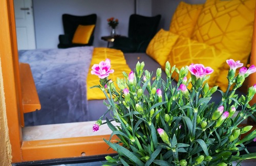 Naumburg Apartment | FEWO evening sun in the city center with parking and quiet