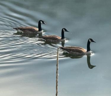 Kaimt Apartment | FeWo Kaamter F erkelsmarkt