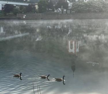 Kaimt Apartment | FeWo Kaamter F erkelsmarkt