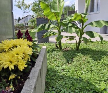 Stockach Apartment | FeWo Lupi