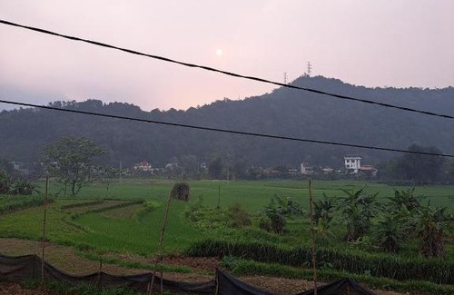 Ha Giang Bed & Breakfast | Field Homestay