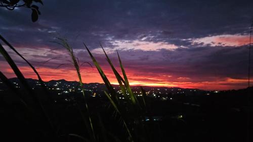 Rionegro Apartment | Finca el oserno