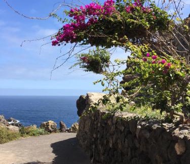 Icod de los Vinos Apartment | Finca La Punta