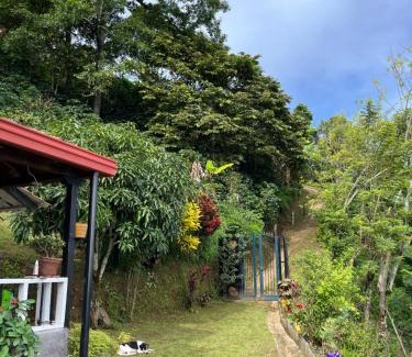Fredonia House | Finca La Tabaiba