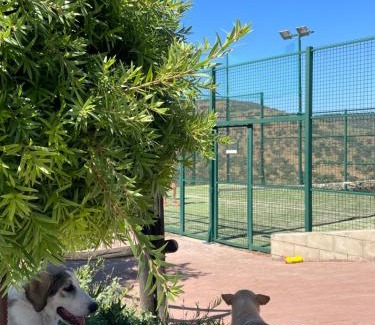 Dehesilla de Guzman House | FINCA LAS DEHESILLAS