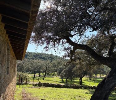 El Madrono Resort | Finca Los Caleros