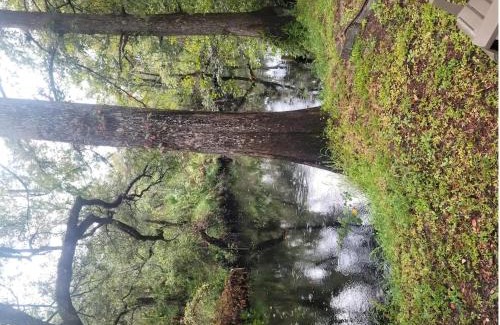 Anclote River Acres House | Fisherman's Cabin