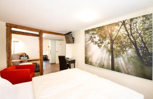 Miltenberg Hotel | Flair Hotel Hopfengarten