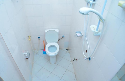 Mbezi Bed & Breakfast | Flamingo Hotel Kinyerezi