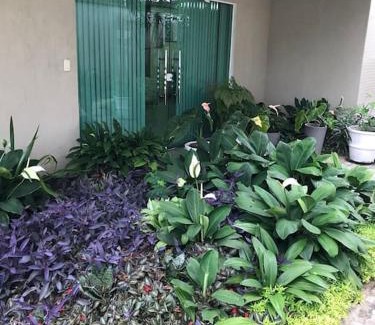 Aleixo Apartment | Flat completo próximo ao INPA