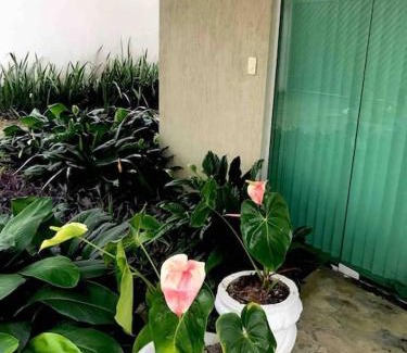 Aleixo Apartment | Flat completo próximo ao INPA