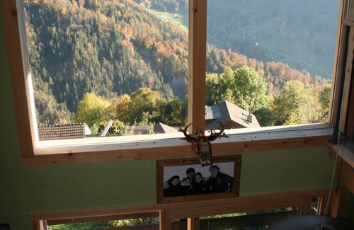 Barboleusaz Apartment | FLAT IN A CHALET