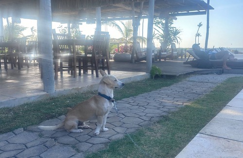 Sao Miguel de Touros Apartment | Flat in a beachfront condominium in the region of São Miguel Do Gostoso RN Brazil