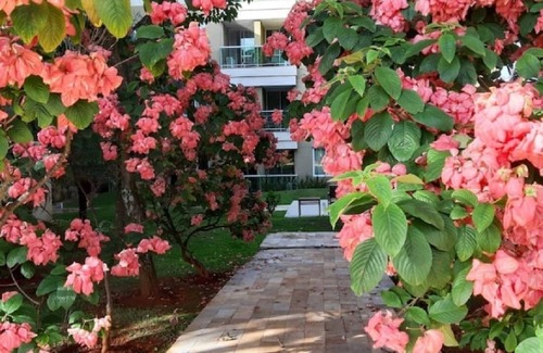 Smin Apartment | Flat in resort | by the lake