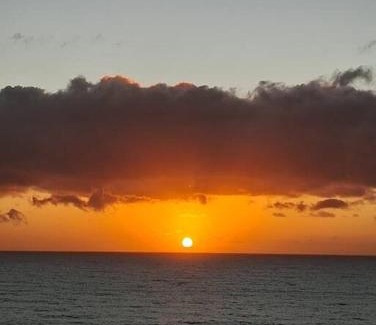 Praia do Meio Apartment | Flat pé na areia à beira-mar