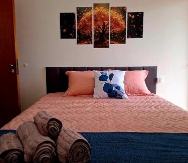 Subsetor Sul - 5 Apartment | Flats Number One