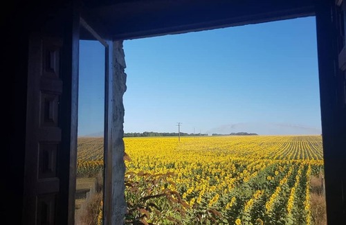 Saint-Pierre-de-Juillers Cottage | 'Fleurie' La Grange du Moulin -Just families - Fun for kids - Heated pool - wifi