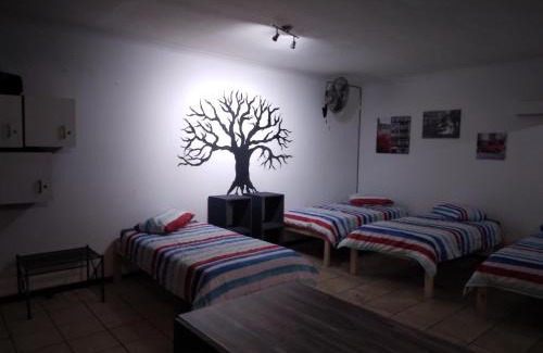Jeffreys Bay House | FlipFlops and TreeTops