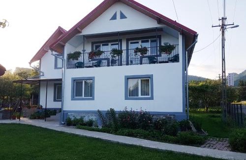 Capatineni-Ungureni House | Floare de colt