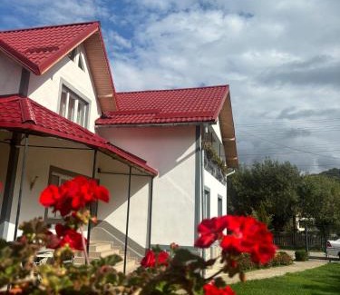 Capatineni-Ungureni House | Floare de colt