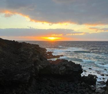 Los Cocoteros House | Flor de Mar
