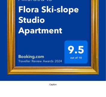 Borovets Apartment | Flora Ski-slope Studio Apartment